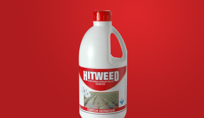 Hitweed destroys weeds, protects crops